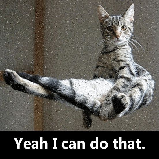 levitating-2jpg.jpg ht=550