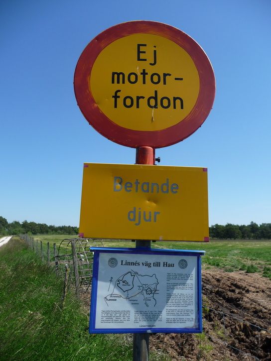 linnesvg.JPG ht=725