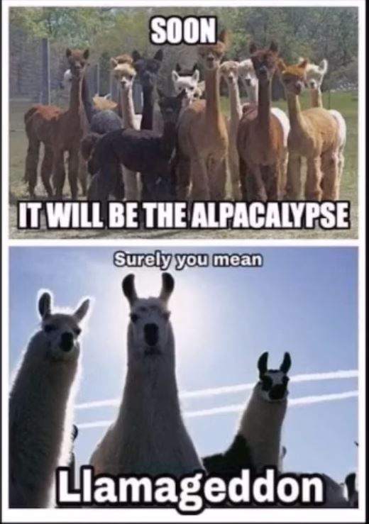 Llamageddon.JPG