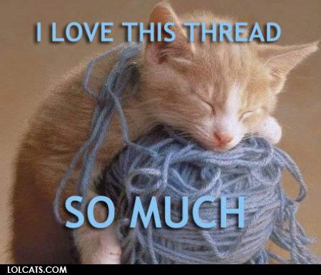lolcatsdotcoms3kwbhne1tnopgui.jpg ht=385