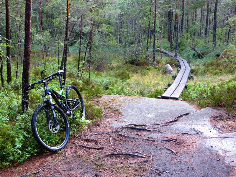 longday_spang.JPG