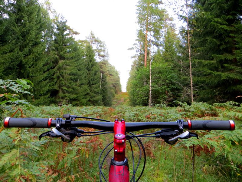 longride_hill.JPG