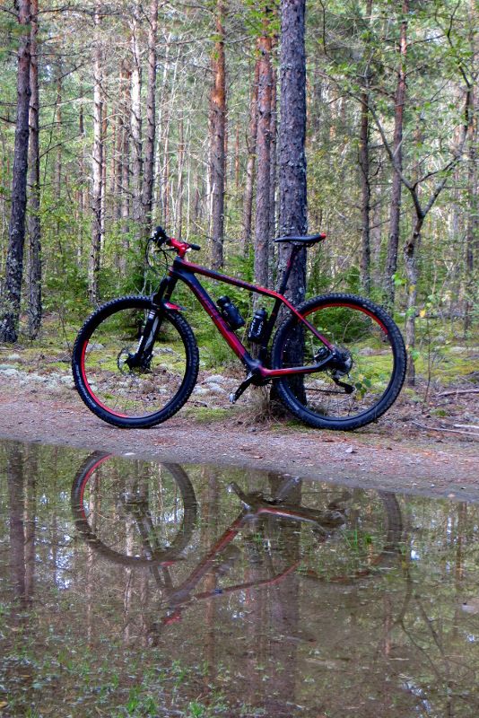 longride_mirror.JPG