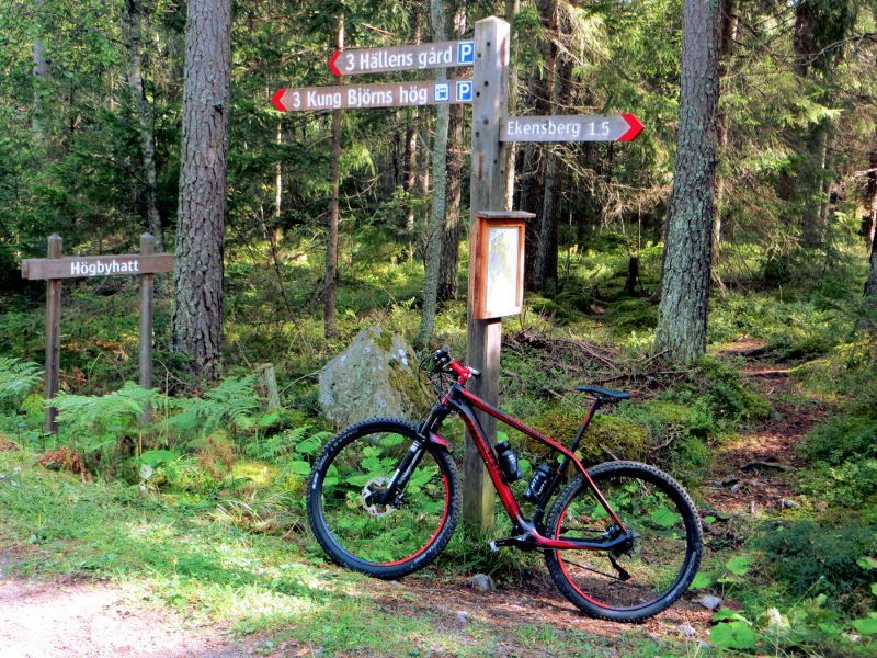 longride_signs2.JPG