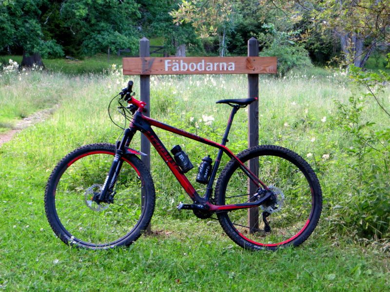longrun_faebods.JPG