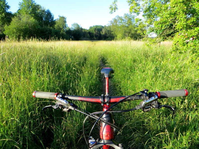 longrun_grass.JPG