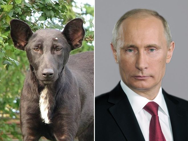 look-alike1.jpg