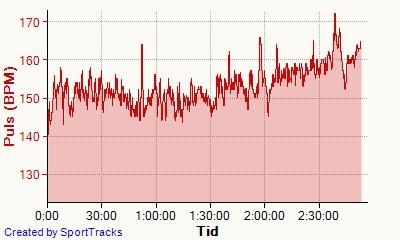 LpningStockholm2013-04-28Puls.jpg