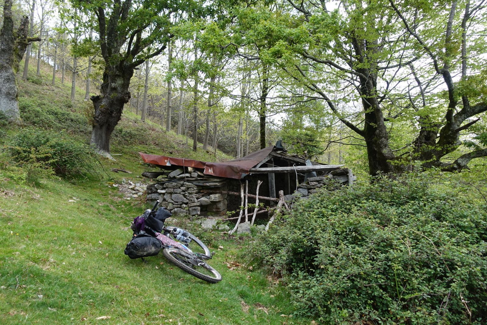 LRG_DSC00186.JPG