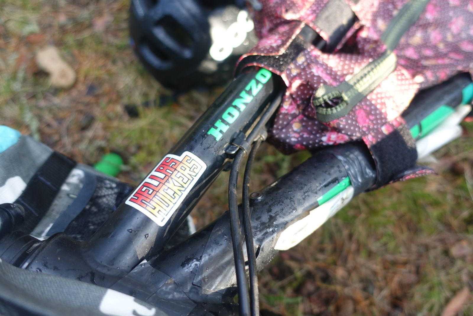LRG_DSC01568.JPG