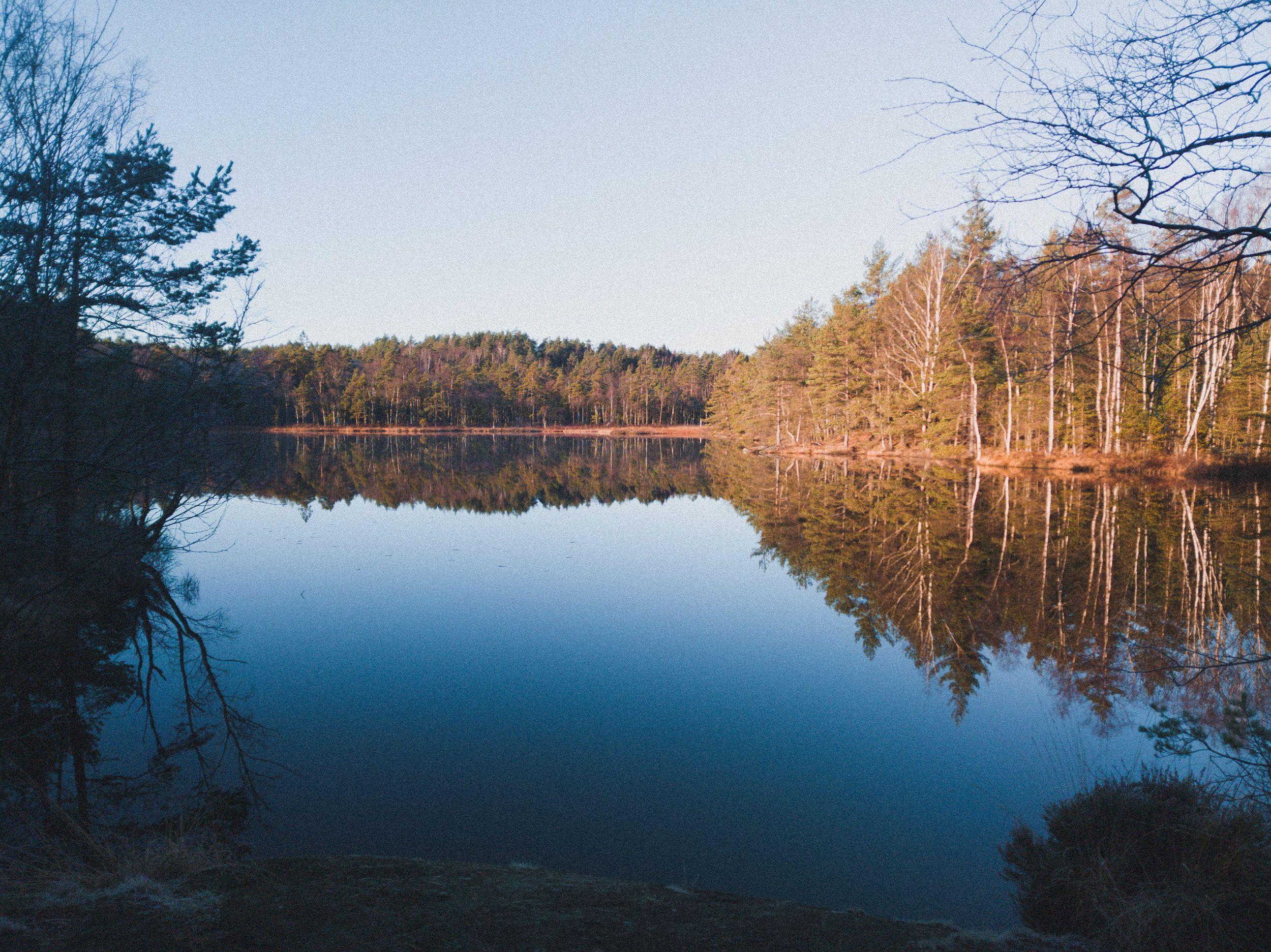 LRM_20201127_114013-hdr.jpg