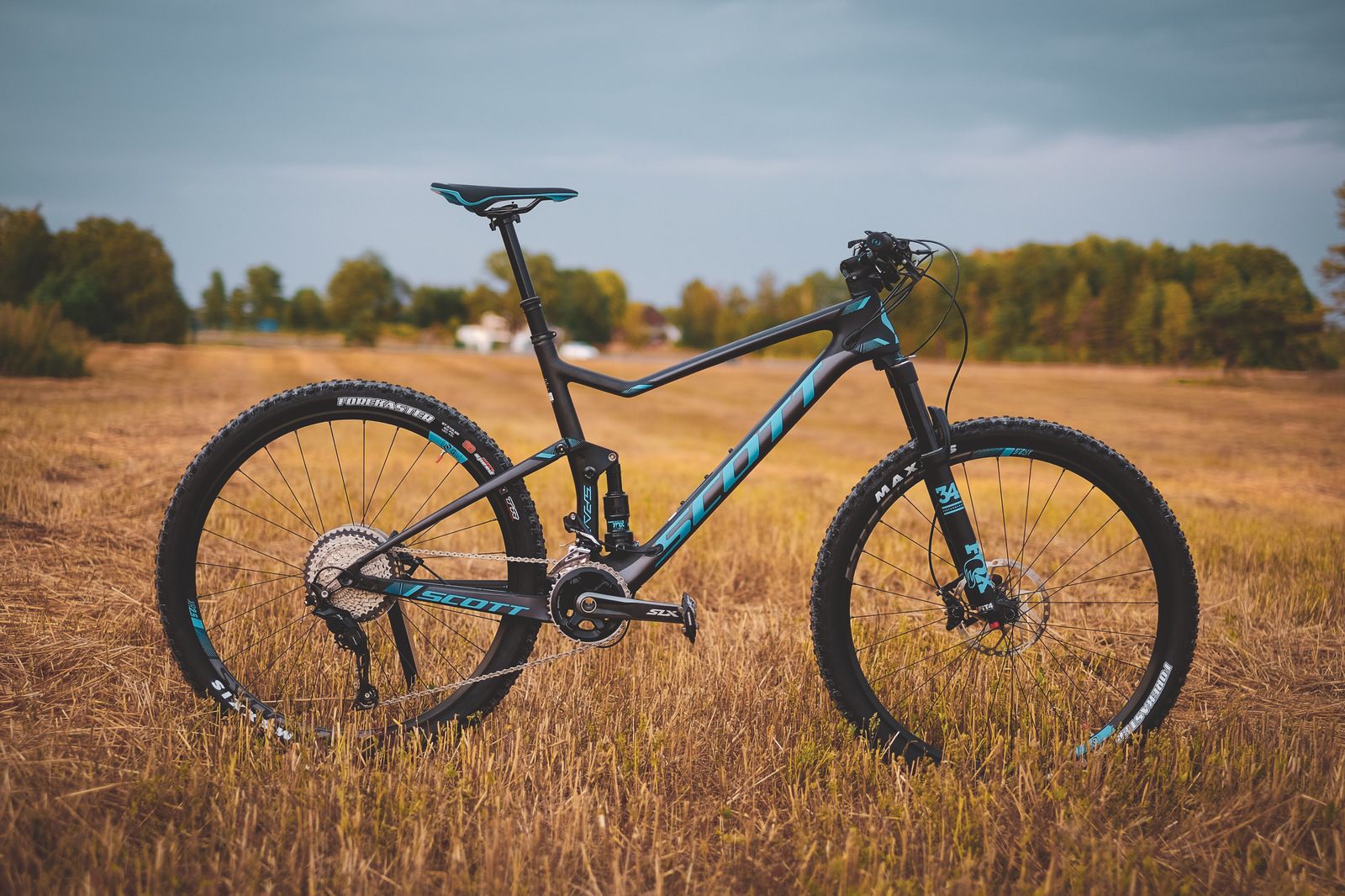 LRM_EXPORT_20180808_222501.jpg
