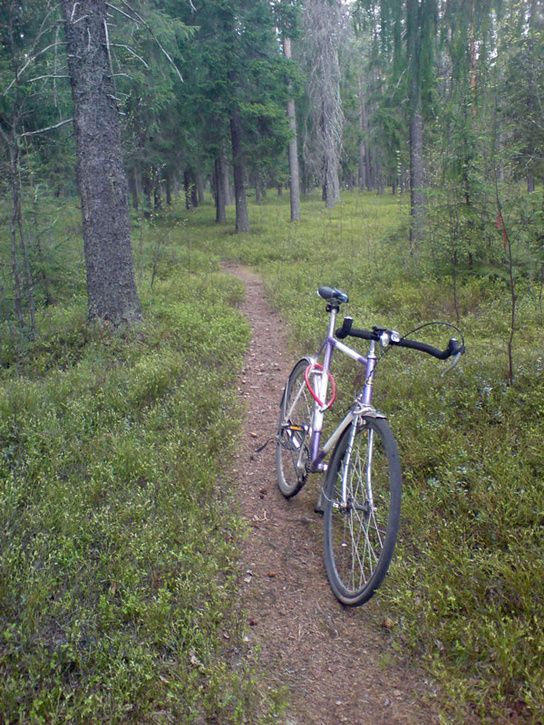 lunchfixiecross1.jpg ht=725