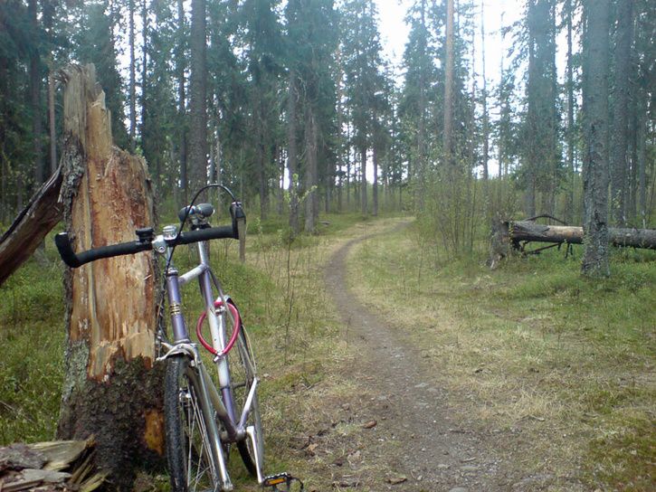 lunchfixiecross2.jpg ht=544