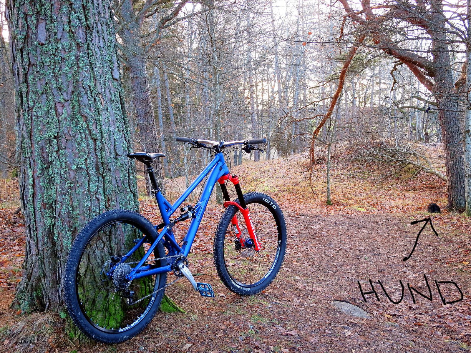 lunchpromenix4dec.JPG