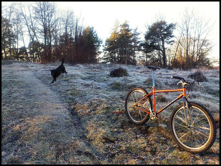 lunchpromenix_11_nov.jpg