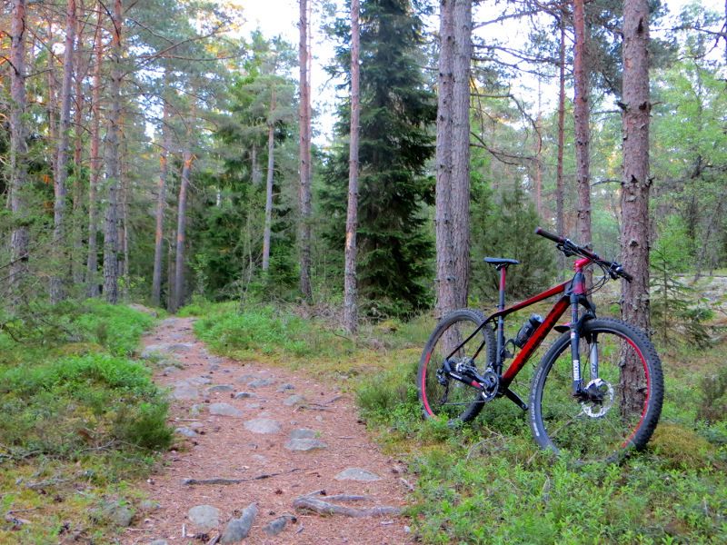luns_trail.JPG