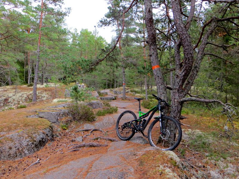 luns_upplands.JPG