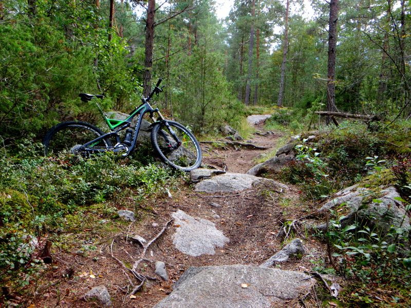 lunsbajs_lugnet.JPG