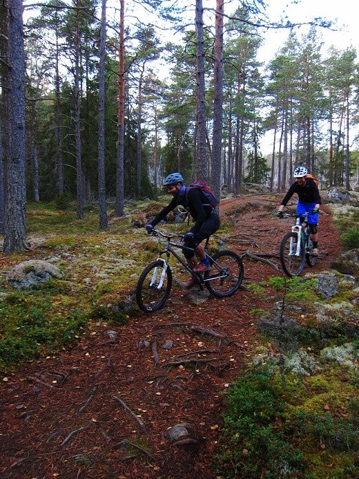 Lunsen_24_okt_11.jpg
