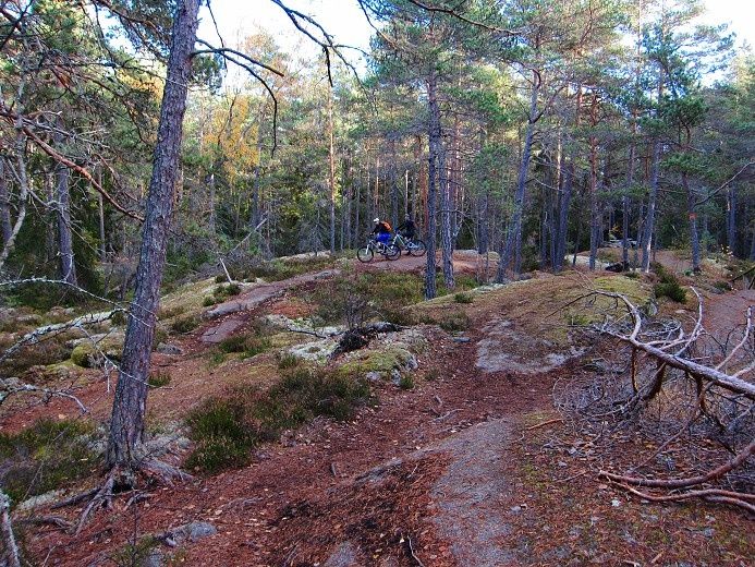 Lunsen_24_okt_23.jpg