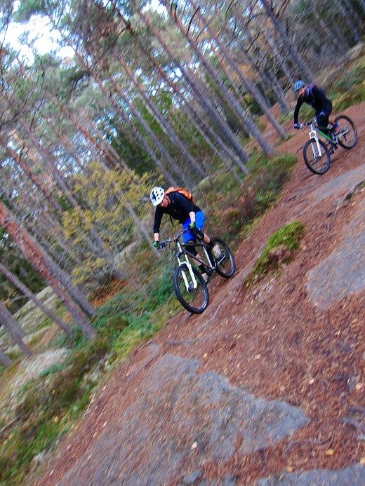 Lunsen_24_okt_27.jpg