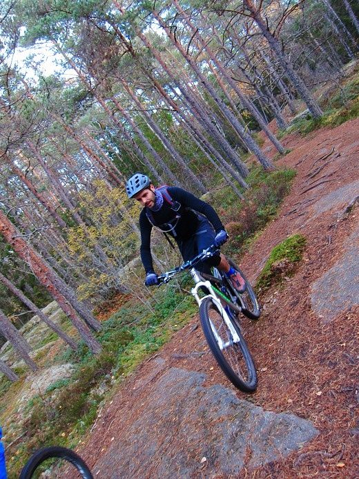 Lunsen_24_okt_28.jpg
