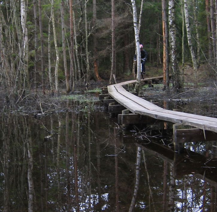 lunsenpremiar2.jpg ht=708