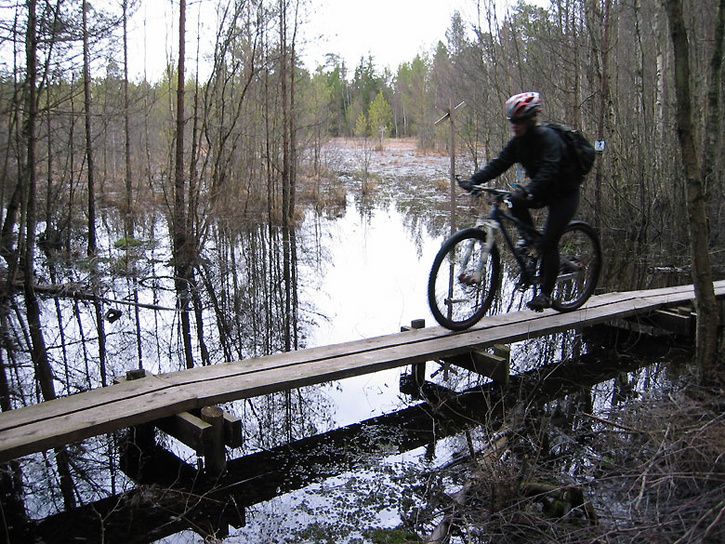 lunsenpremiar3.jpg ht=544