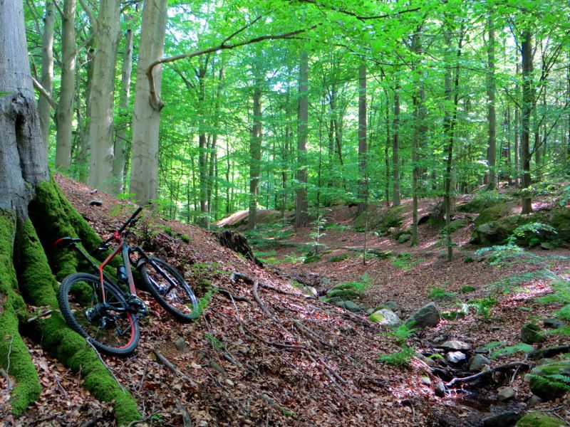 lushness_bikefine_small.JPG