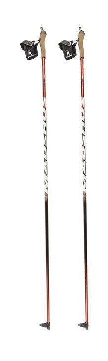 madshus_1011_poles_zoom.jpg ht=725