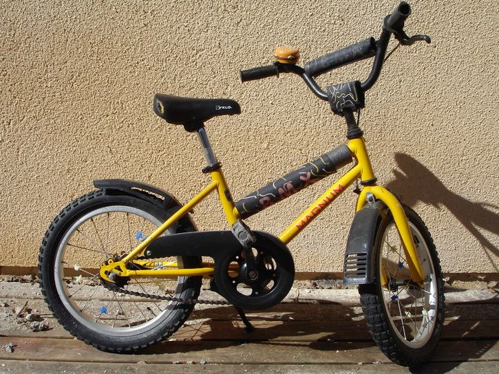 magnum16.jpg ht=544