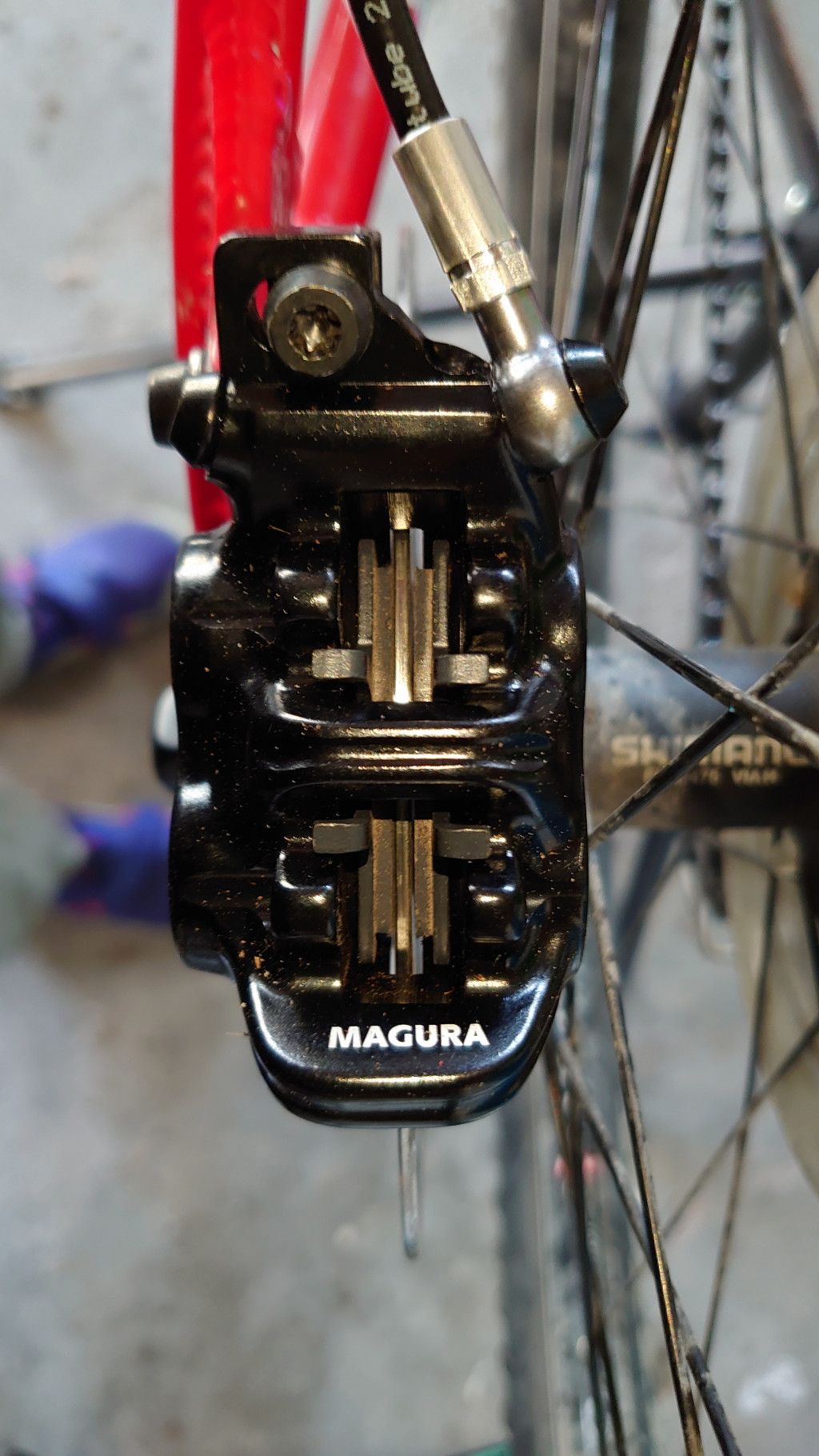 Magura.jpg