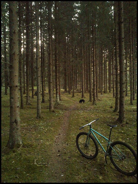 Maj15_06.jpg