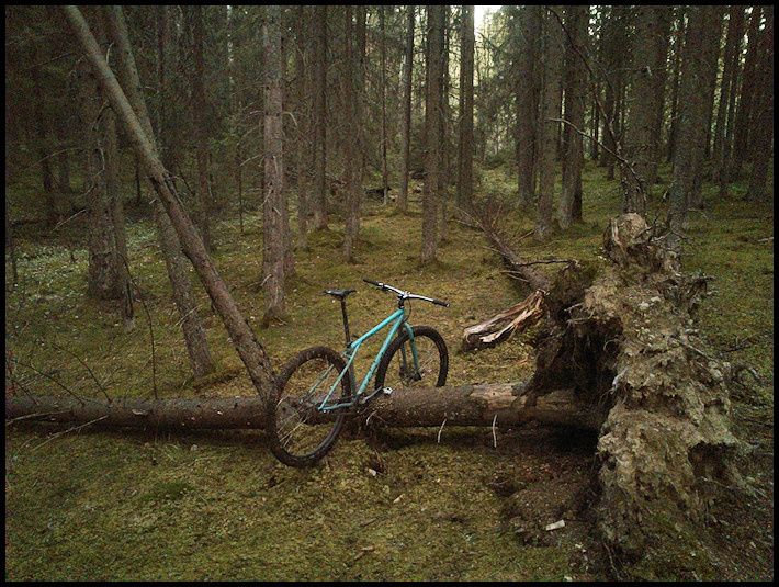 Maj15_07.jpg