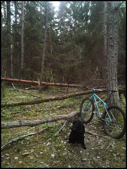 Maj15_09.jpg