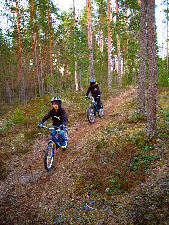 majkvÃll_18.jpg ht=725