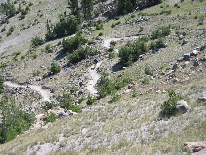 Mammoth7.jpg ht=544