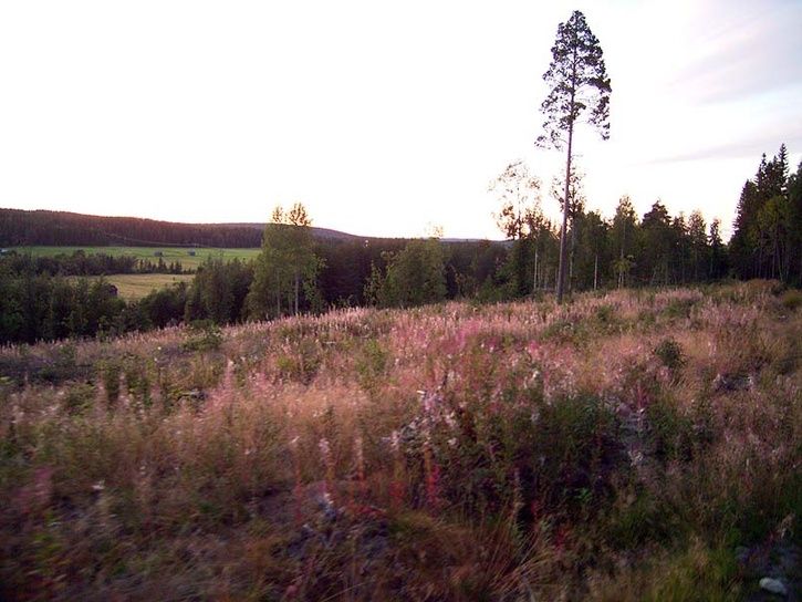 mndagstur243.jpg ht=544