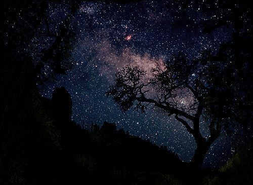 marlborough_milkyway.jpg ht=365