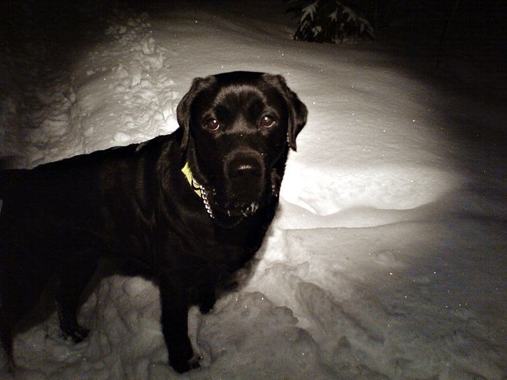 marskvÃll_08.jpg ht=544