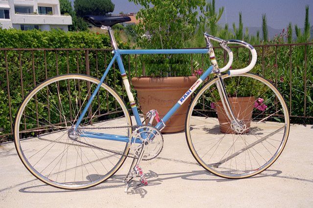 masi1.jpg
