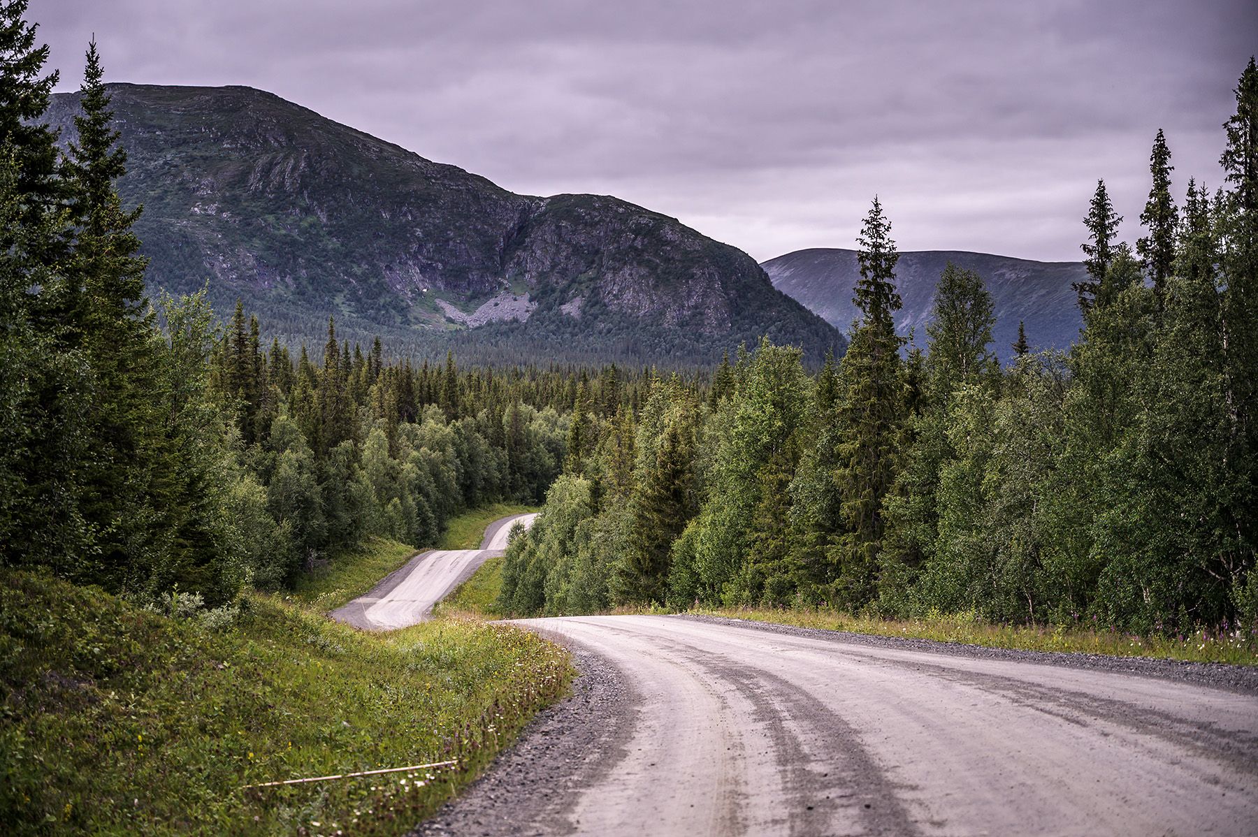 Matsdal-1941_1800px.jpg