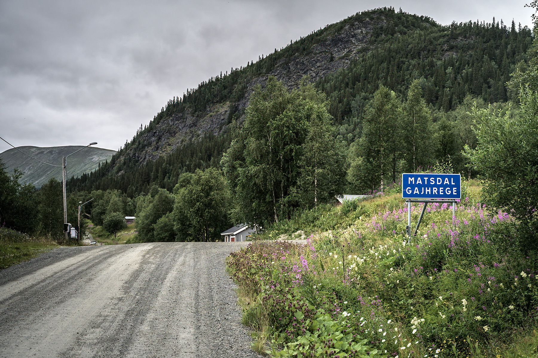 Matsdal-1954_1800px.jpg