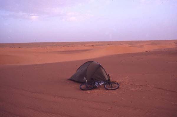 maur_2005_03.jpg ht=398