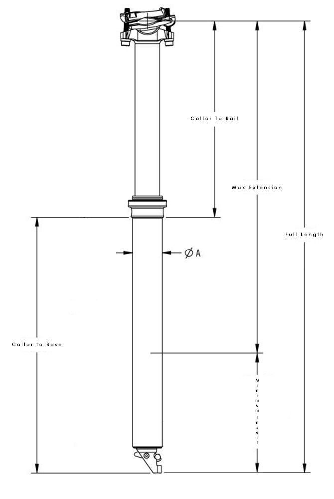 max_Measurements_Tall_910448.jpg