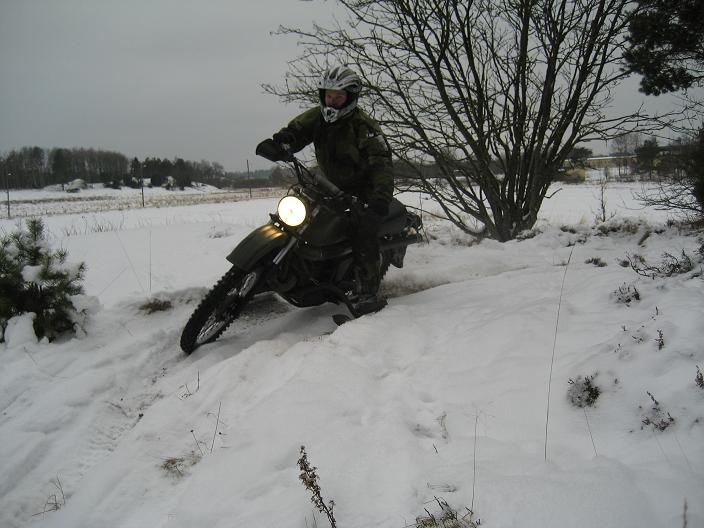 mc_vinter.jpg ht=528