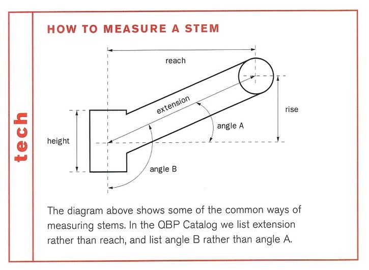 MeasuringaStem.jpg