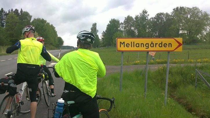 mellangarden.jpg