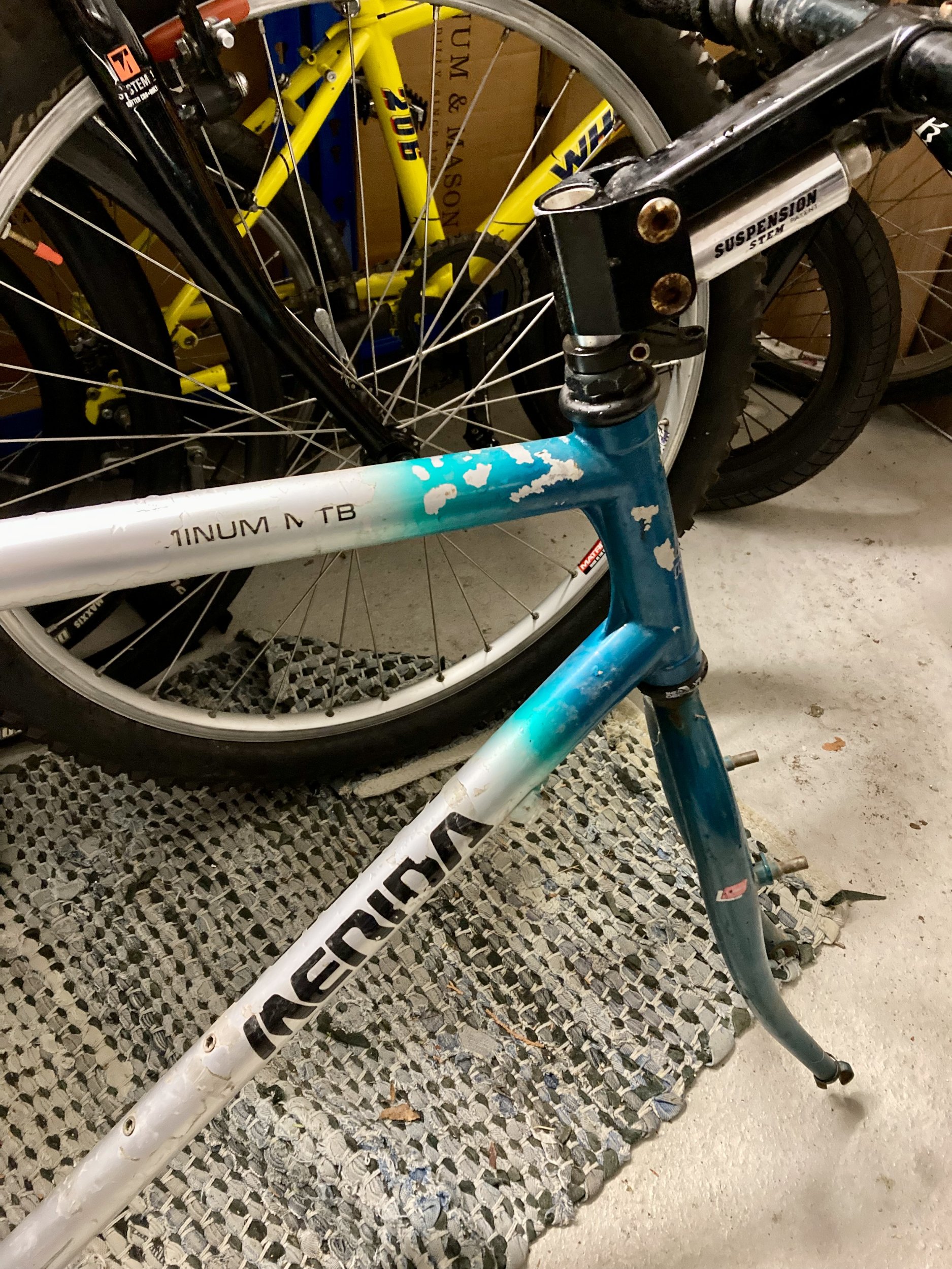 Merida-WhatModel - 1.jpeg